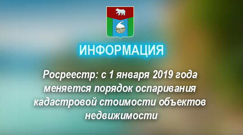 Участились жалобы населения на увеличение количества собак